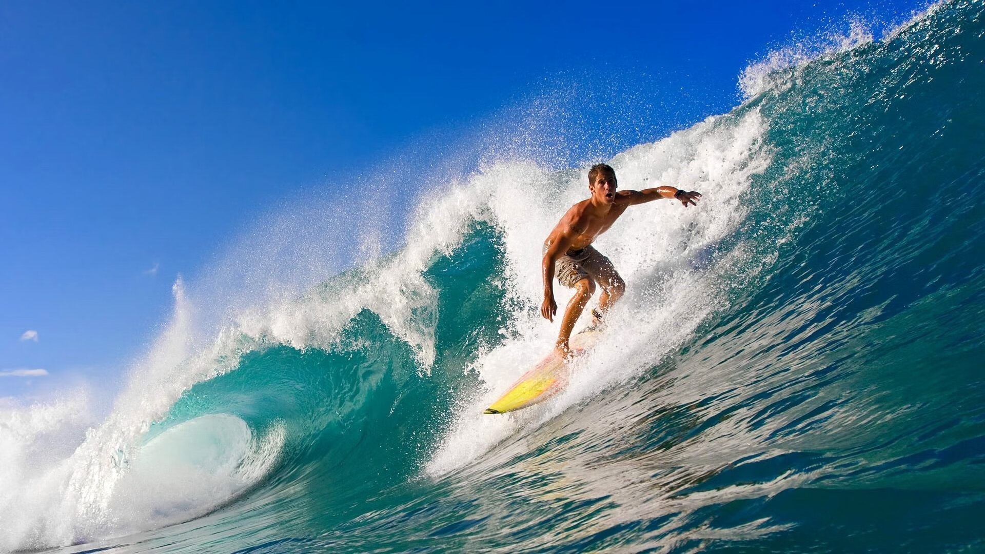 kaiyun官方网站-《高校电子竞技专业全覆盖,培养电竞精英》,高校开设电子竞技专业